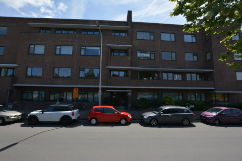 8.Wilshout01